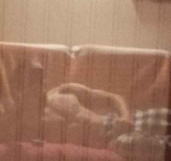 Sawyer - Gay dating in Roy Profile of Sawyer, 25, Gay dating in Roy (Utah)